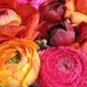 Meet your Posher, Meri